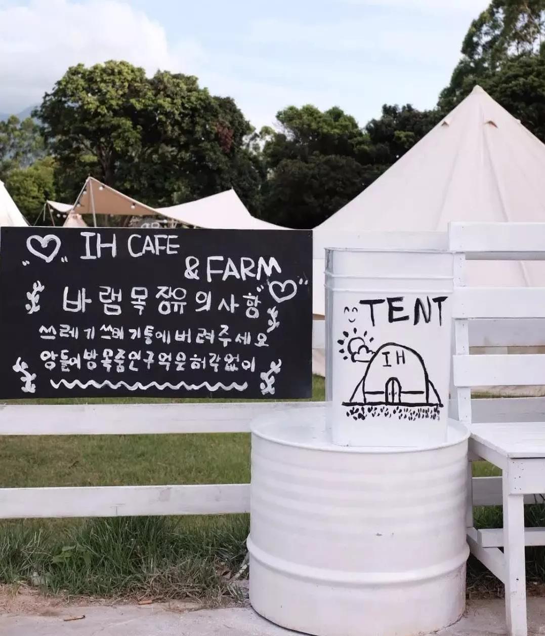 收藏!刷爆小红书的深圳济州岛绵羊牧场咖啡厅,256G都不够拍