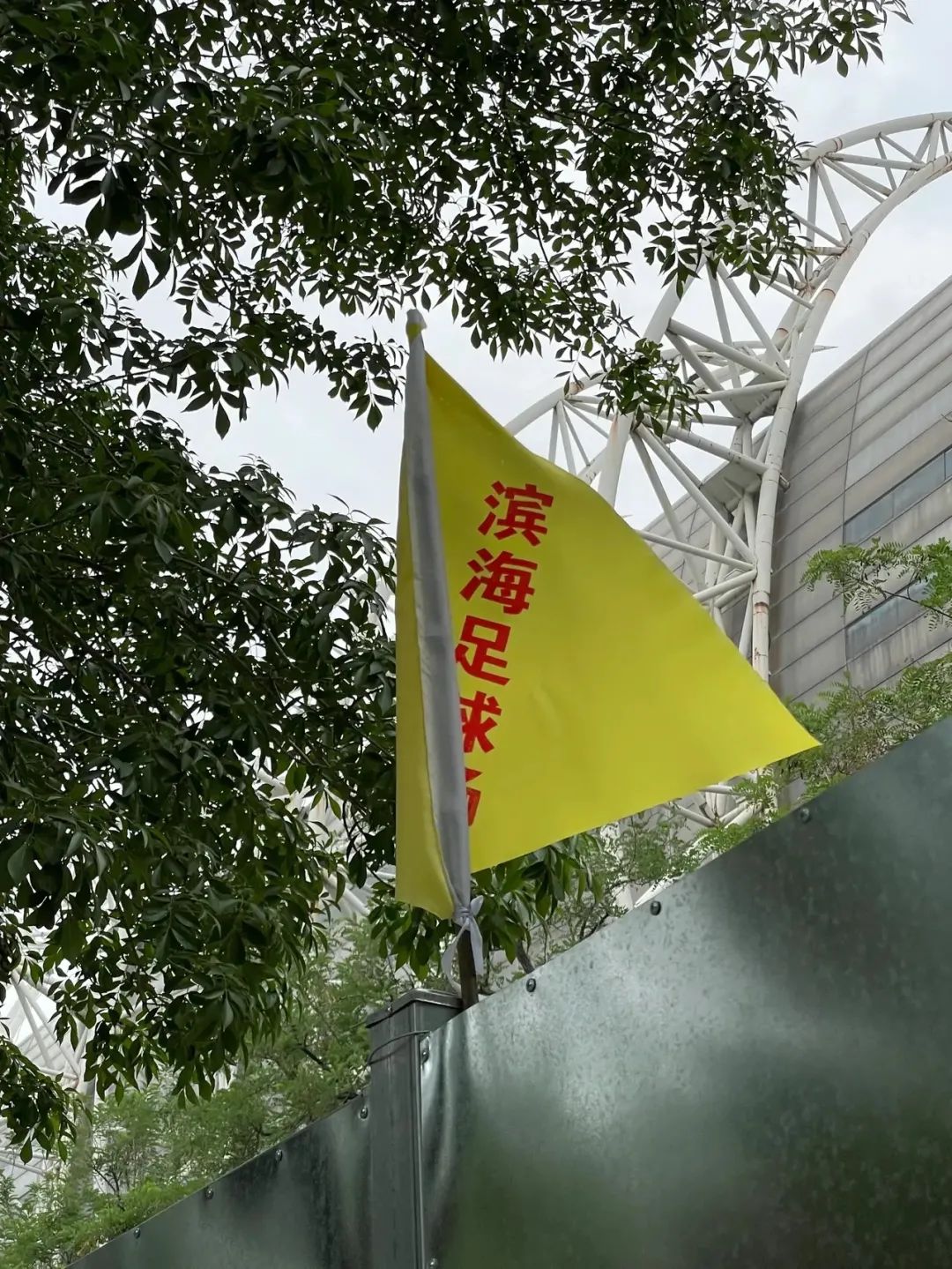 泰达足球场和团泊足球场的区别,泰达足球场改造最新消息