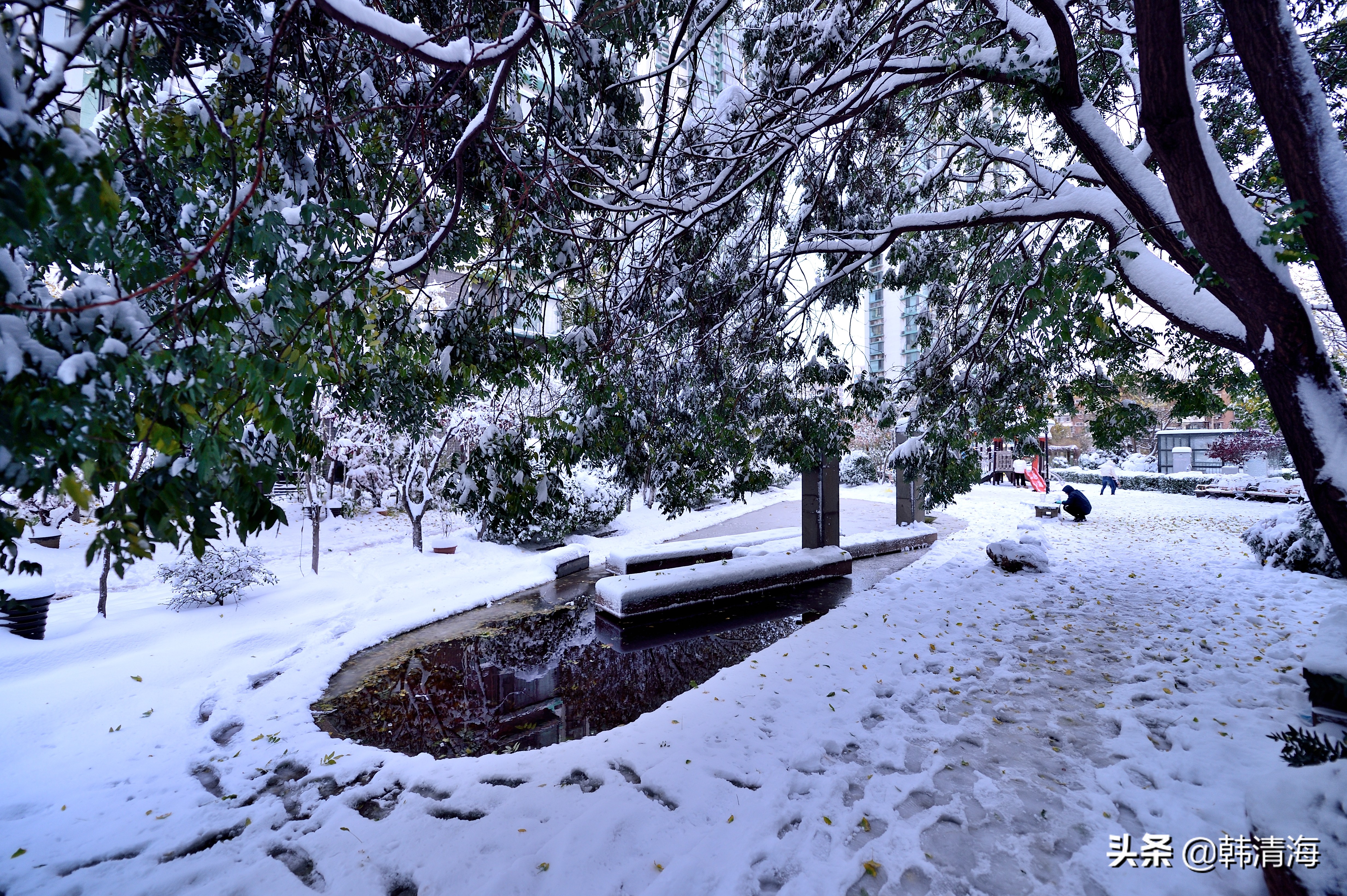 2021天津第一雪水畔花园小区装扮得更加圣洁和美丽