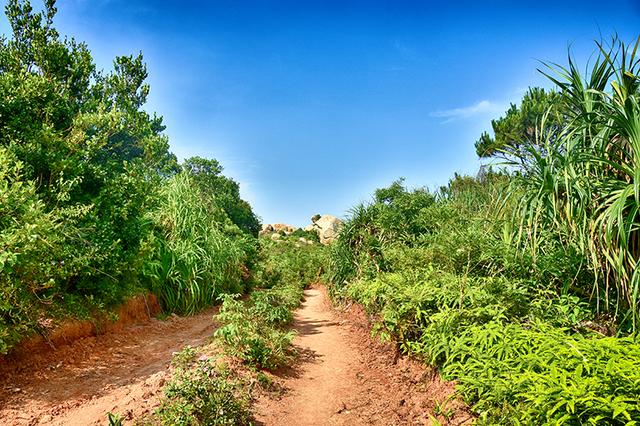 那琴湾地质海洋公园夜空,那琴湾海边