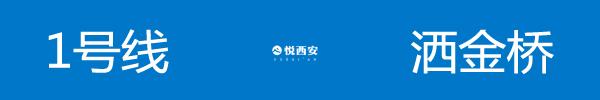 西安地铁各个路线标志颜色,西安地铁颜色标识