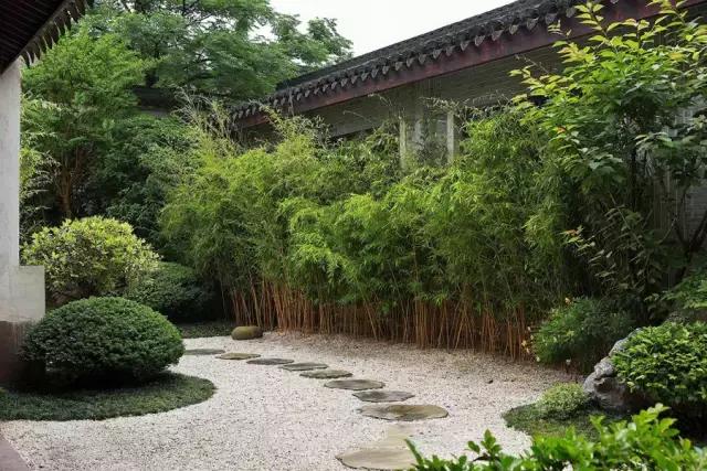 院子还是中国的最美,院子是中国人一辈子的情怀