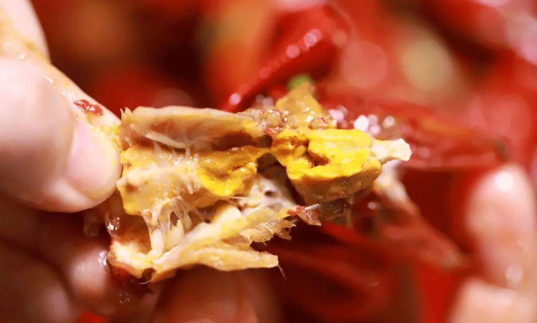 宜春潜江小龙虾,宜春潜江龙虾