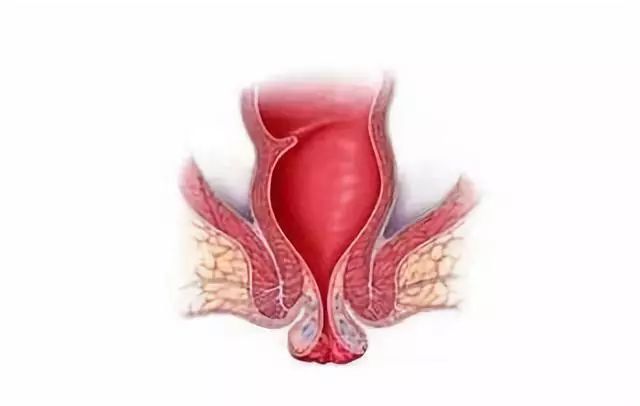 肛门疼痛的引发因素有哪些？