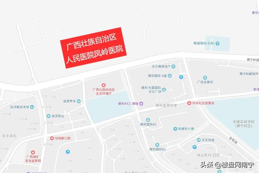 广西区人民医院凤岭医院最新进展,南宁凤岭南医院什么时间开工