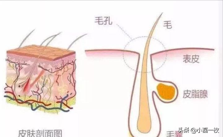 熬夜脸色蜡黄怎么改善最快最有效,脸熬夜蜡黄暗沉怎么调理