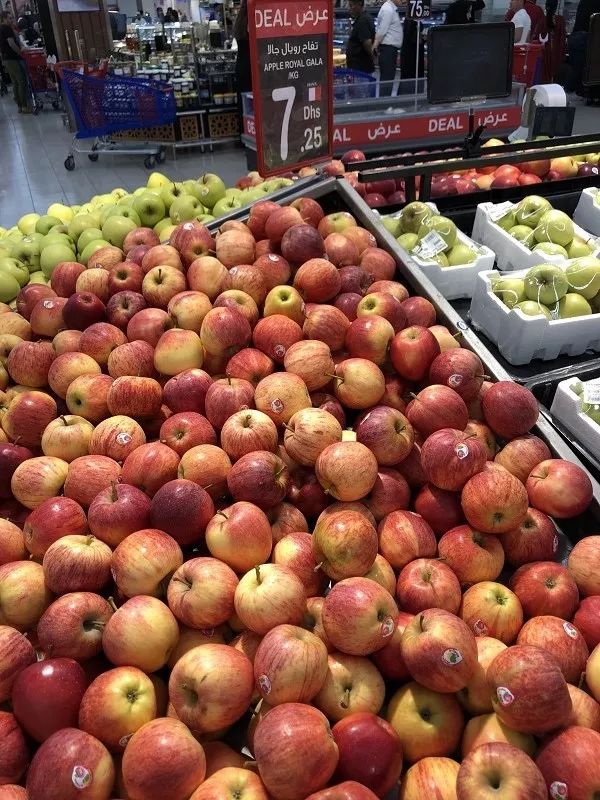 迪拜生活真实工资,在迪拜怎么降低生活成本