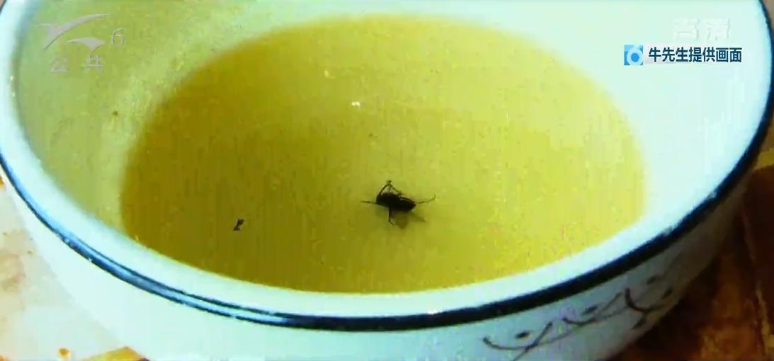 凌晨去吃火锅的后续,凌晨去吃了火锅