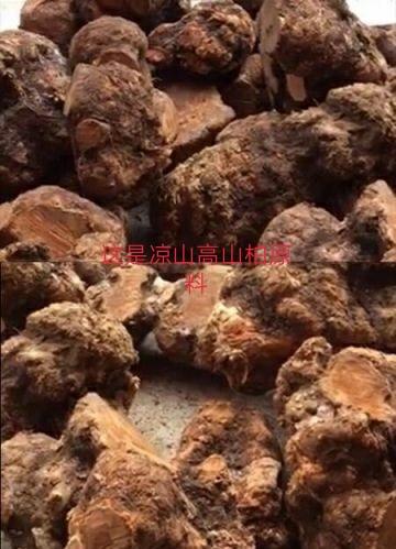 川料崖柏产地,崖柏和刺柏有什么区别