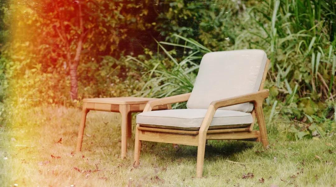 凛冽寒冬中的一抹暖阳,凛冽的暖阳