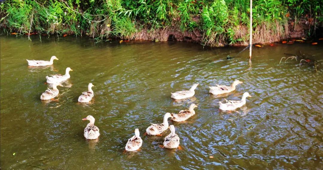 明知亏钱还是要做的是什么,明知亏本就该放手