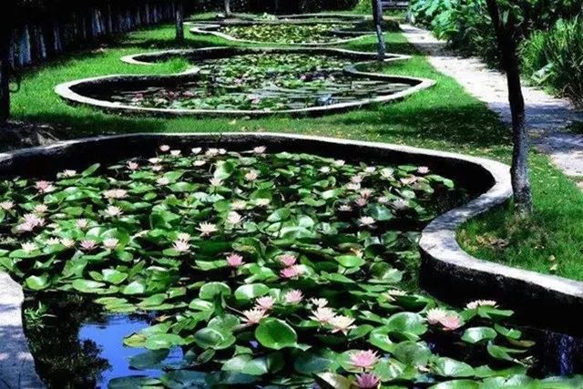 在上海拥有这样一个露台多幸福,在上海有一种温暖叫邻里互助