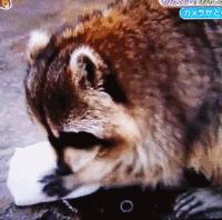 十大最建议买的洗洁精,洗洁精食品级推荐测评