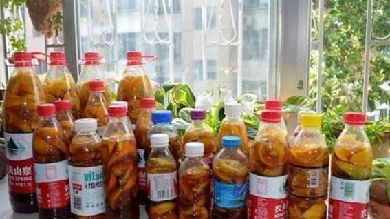 绿萝叶子发黄用营养液还是肥料好,绿萝用了肥料叶子发黄怎么办