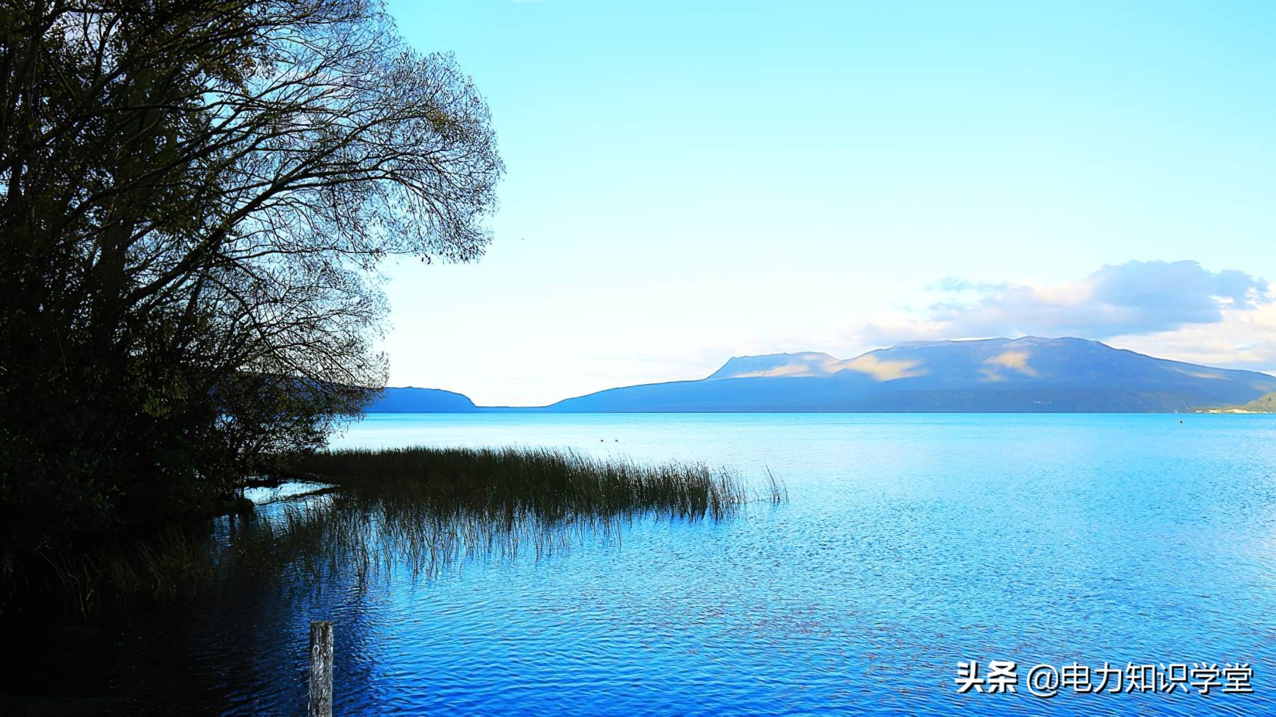 火力发电厂发电标准煤耗率是多少,火力发电厂燃煤多少