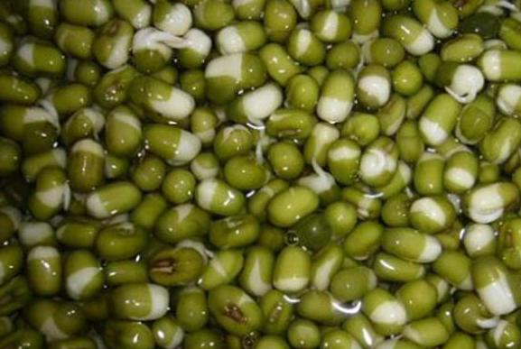 豆芽泡发方法,豆芽泡发的过程