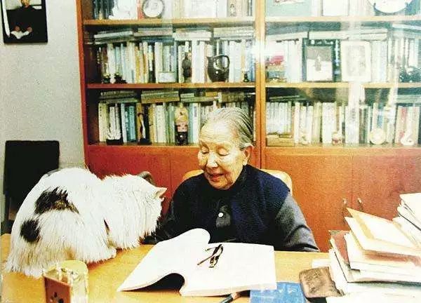 钱钟书和林徽因的护猫之战 (钱钟书的猫跟谁的猫打过架)