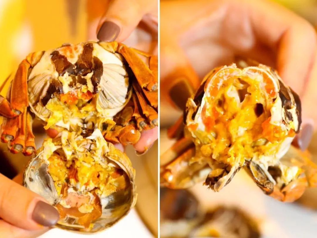 坐拥500万英镑艺术品！自助晚餐云集4家餐厅精华菜！