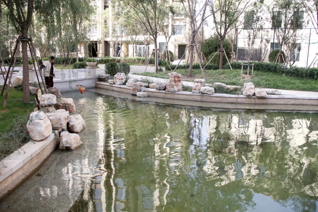 石家庄高新区最值得买的盘,实探一线湖景房