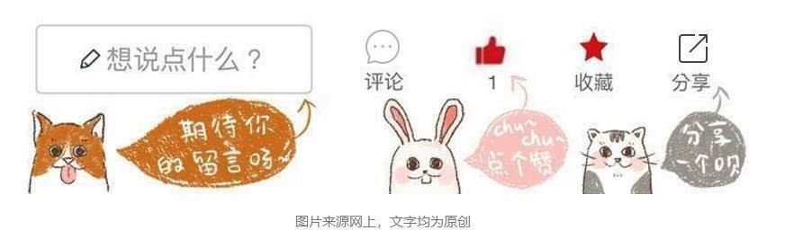 怎么喂食才能保证狗狗健康,狗狗怎么合理喂食和注意事项