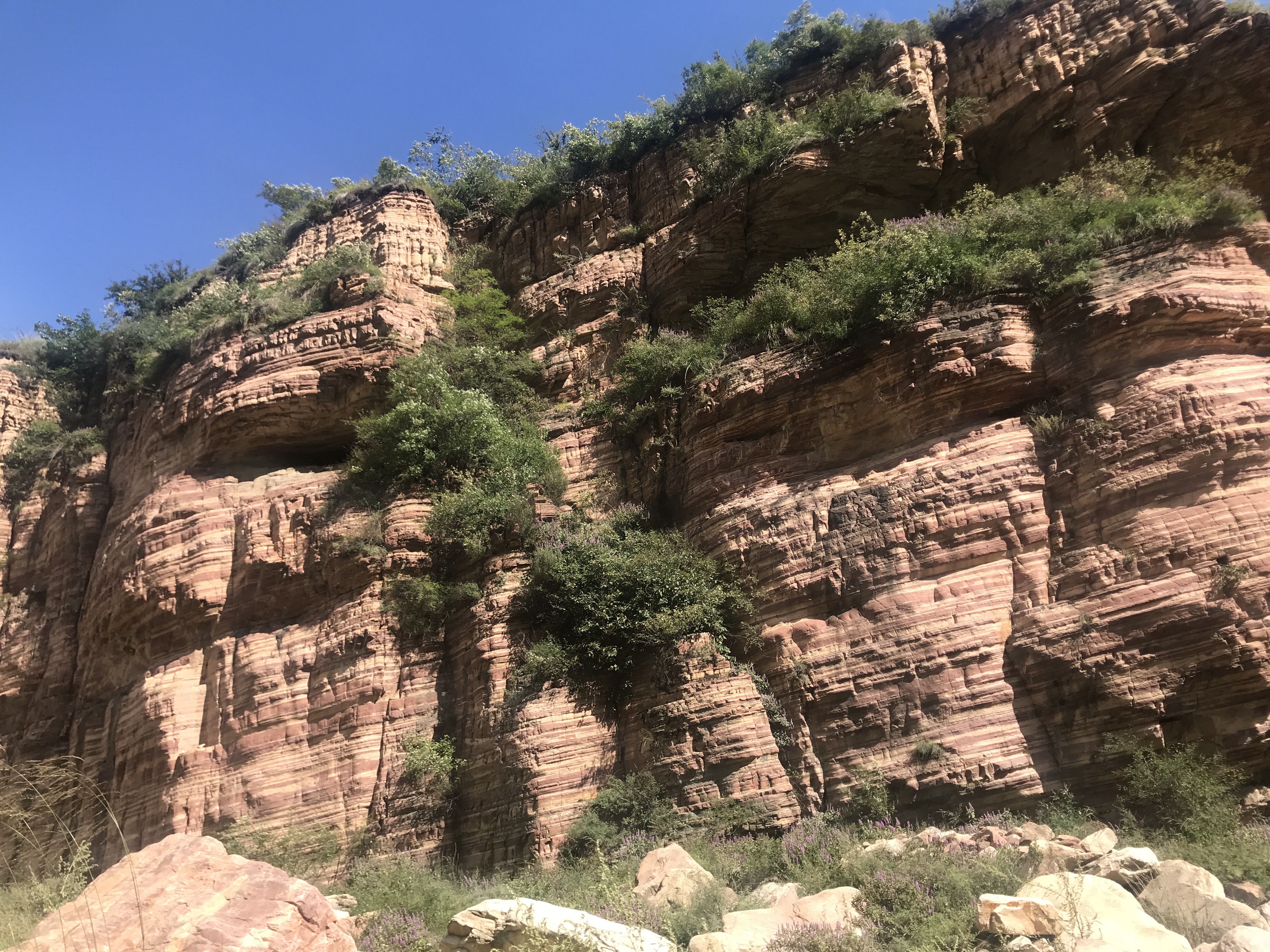 孩子爱吃甜食一嘴小黑牙，此招一出，父母小孩都快乐