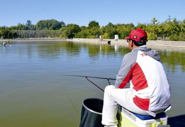 鲤鱼饵料黑坑专用黄面,黑坑钓鲤鱼黄面和什么饵料搭配好