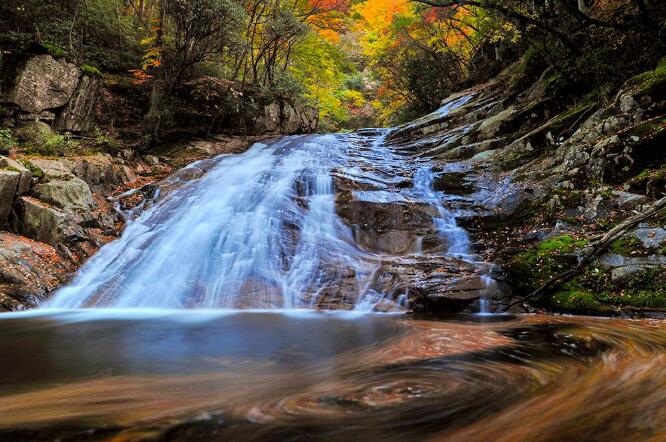 中医里的顺势而为，恢复自然健康的基础