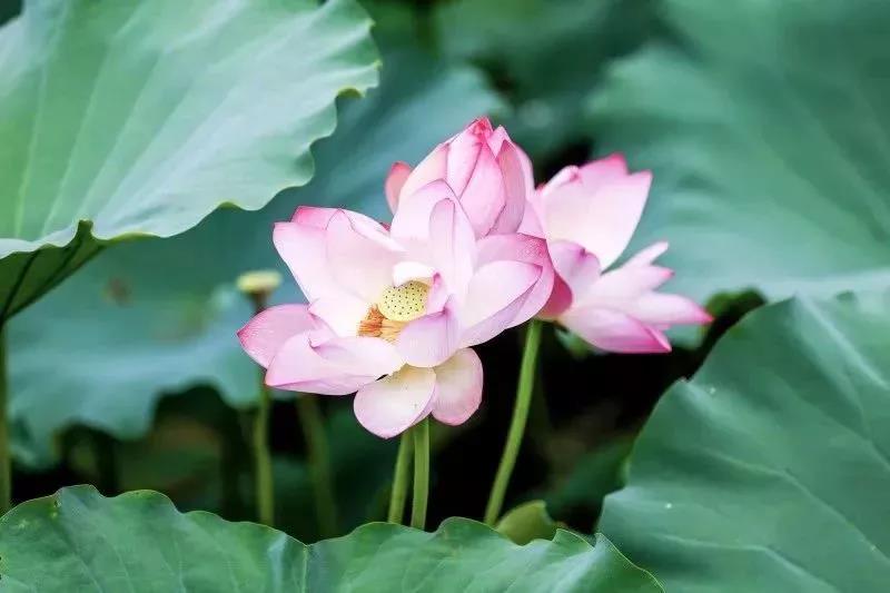 深圳遛娃必去的50个主题公园,深圳亲子游十佳去处免费