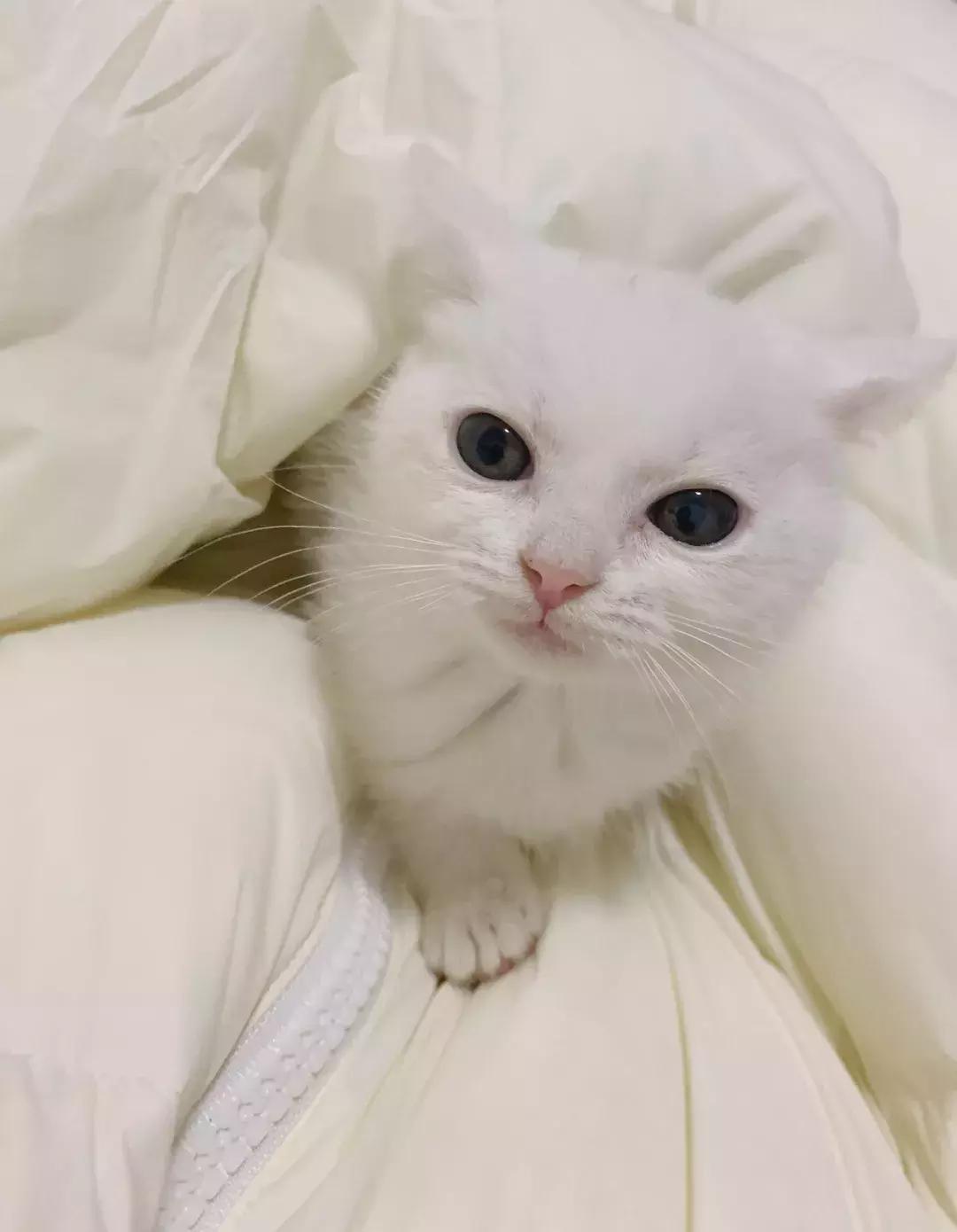 这年头钱难挣屎难吃话难听,钱难赚屎难吃电影台词