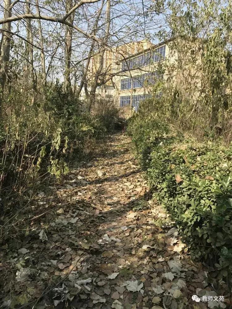 豫西师范前世今生,豫西师范回忆