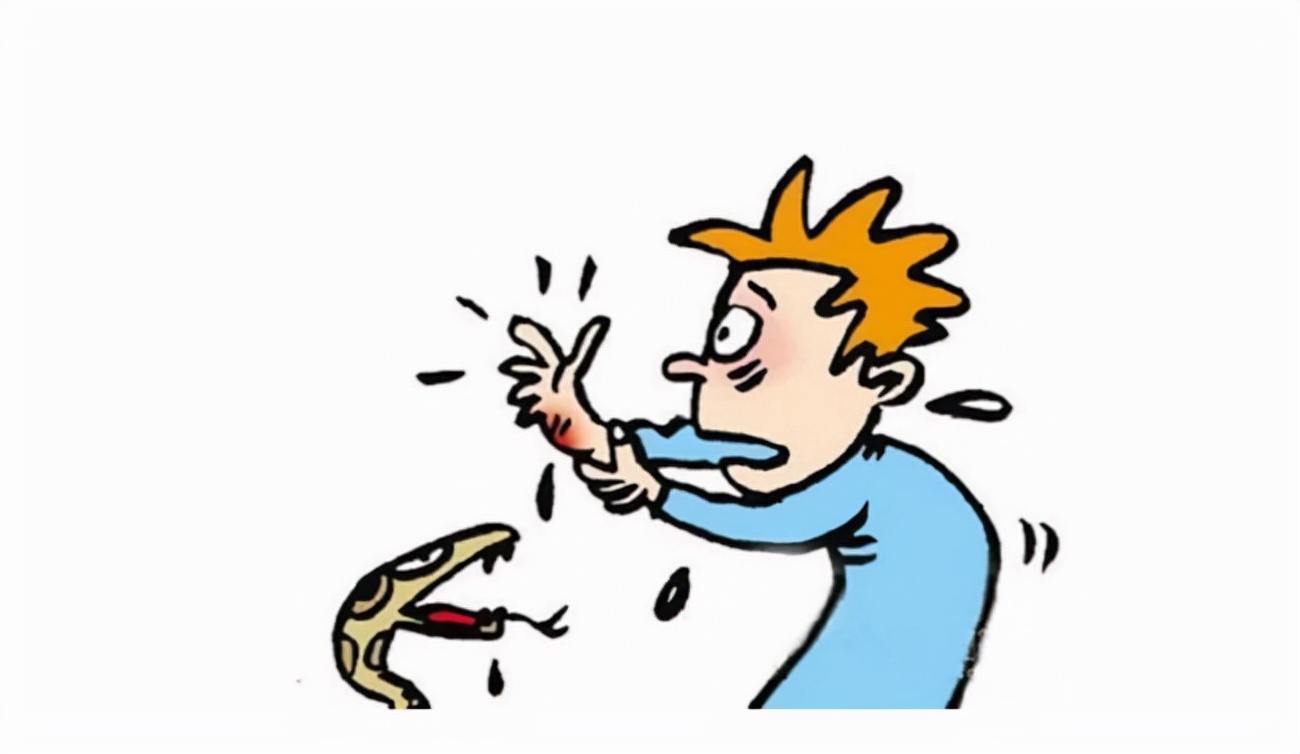 蛇的报复性有多强？被斩掉蛇头20分钟后，还可以咬人中毒身亡