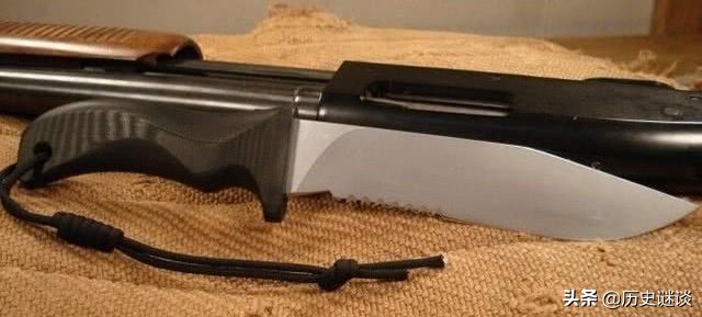 荒岛求生选择什么样的岛最合适,教你怎么通关荒岛求生100天