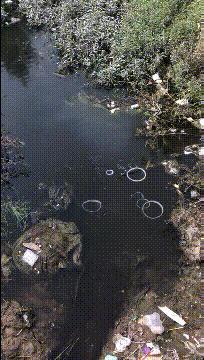 把中间的门店租下来取什么名字好,租下门面不知道取什么名字