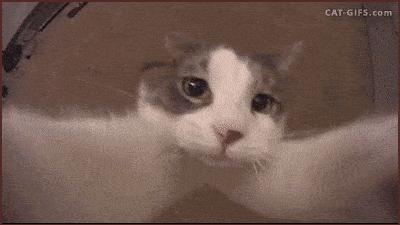 趣观世界｜发财了！在香港花300块买的表，竟卖出28万