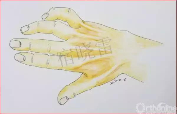 手绘科普视频,手绘类科普