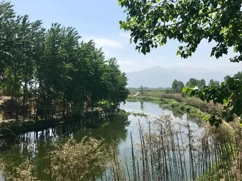 沣河往事，我的爷呀，我的河