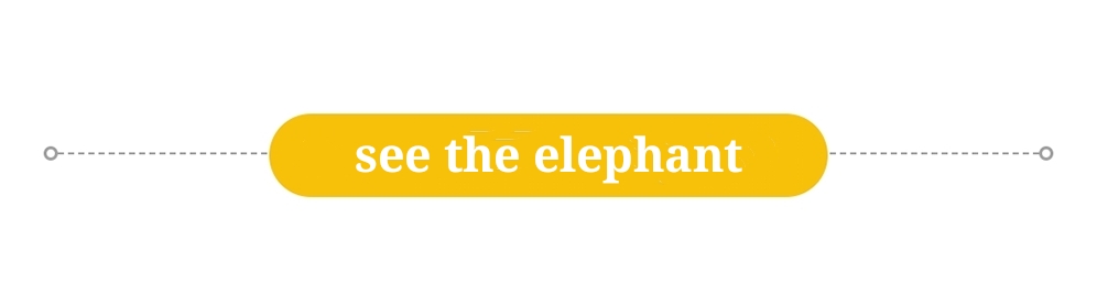 seetheelephant,seeingtheelephant