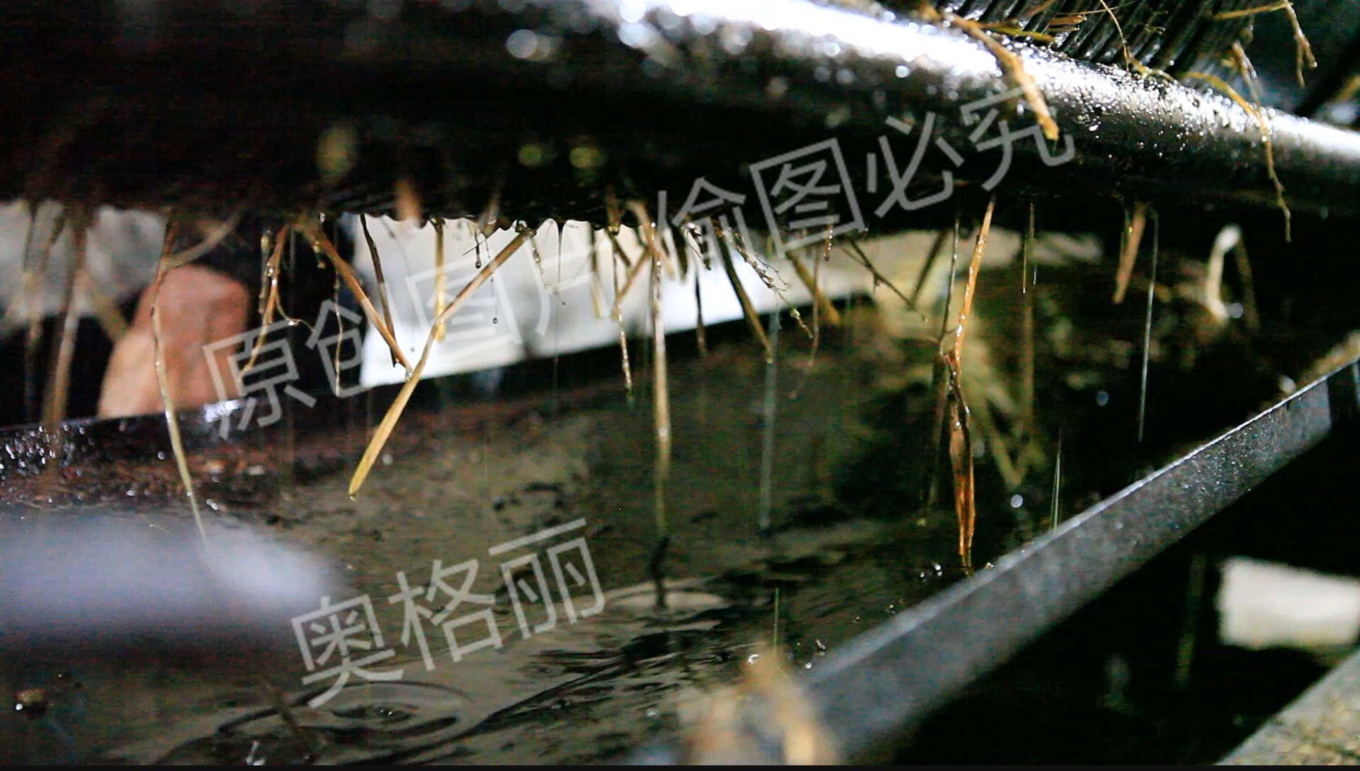 过期山茶油的功效,过期山茶油有什么作用