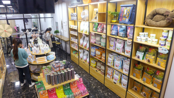 轻奢风格宠物店图片,温馨明亮的宠物店风格
