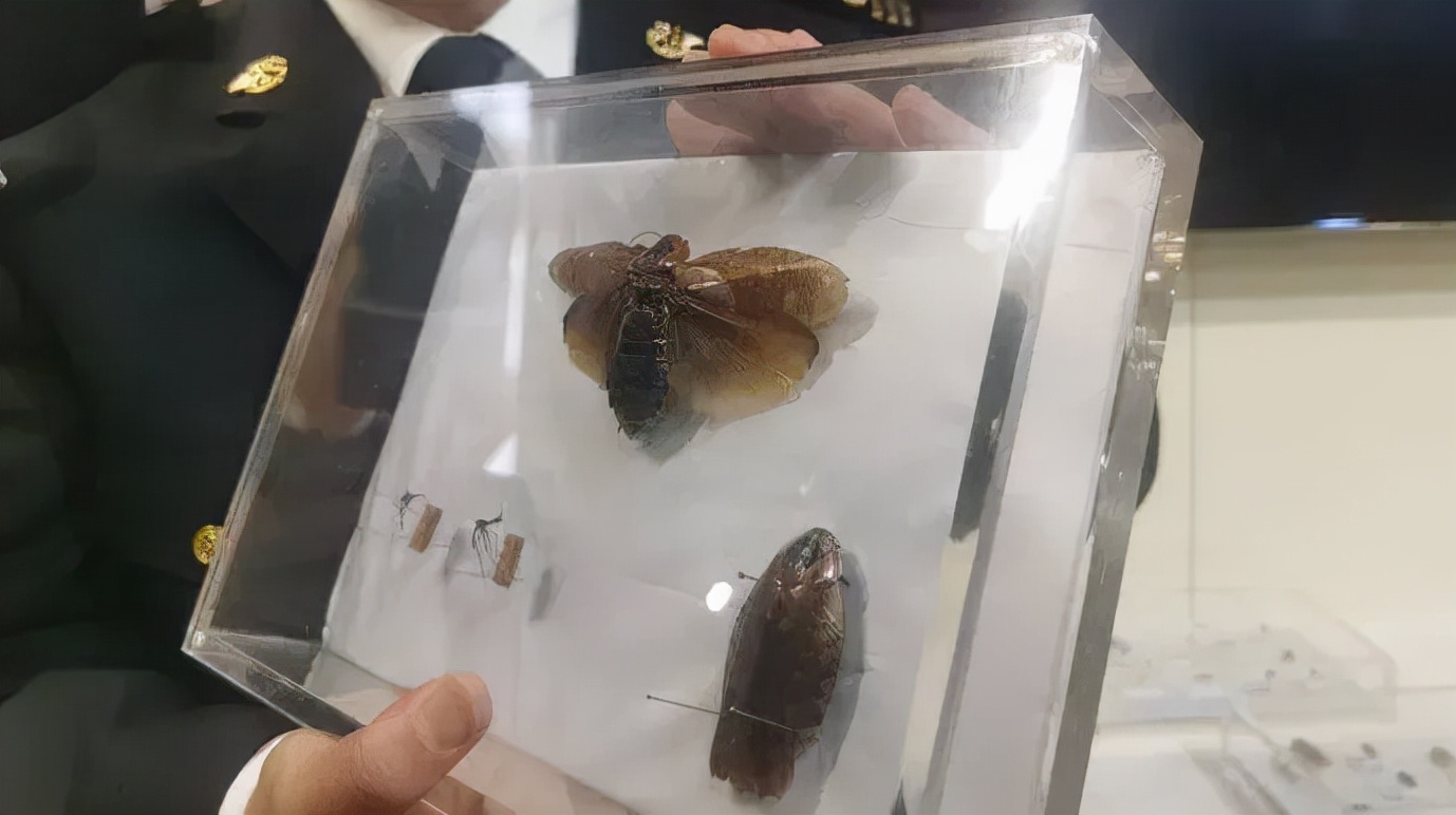 每天收到陌生人转账自己能花吗,不要轻易向陌生人转账后面是什么