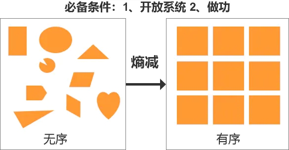 犯了“松鼠病”老爱囤东西?培养熵减思维,寻找生活秩序