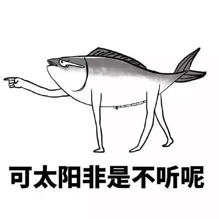 “快乐肥宅水2.0”——龙井峡漂流湿身趴!快来浪一“夏”