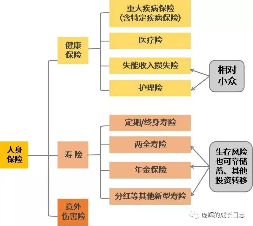 保险种类及购买建议 (如何购买保险才能做到真正划算)