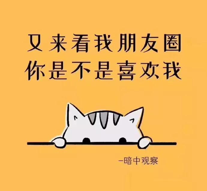 背景图：又丧又非主流的文字我只是习惯一个人，不是喜欢一个人