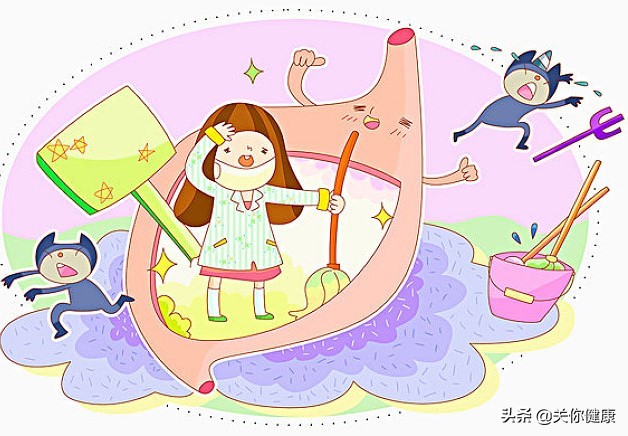 改善胃的最佳食物,如何养胃提高胃的吸收