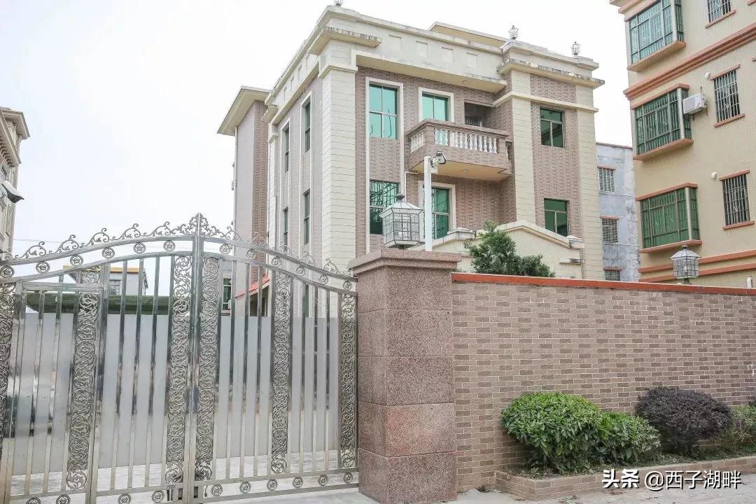 惠州镇隆荔枝什么品种,惠州镇隆自摘荔枝在哪