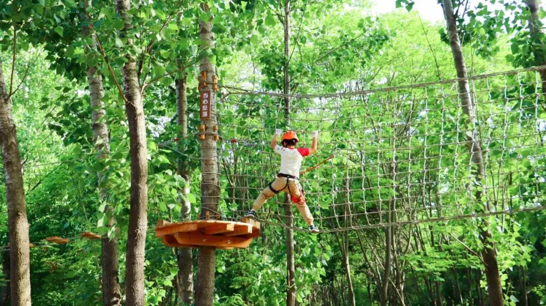 郑州亲子遛娃,郑州室内免费亲子游的好去处