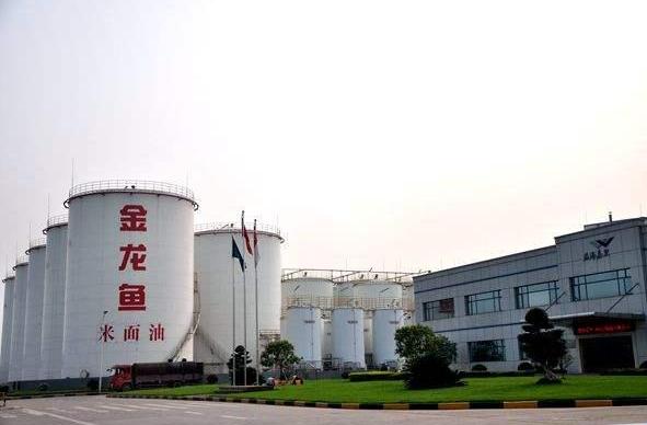 中国十大油企排行榜,中国十大食用油厂家