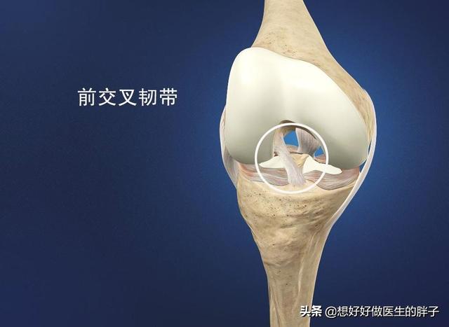 走路膝盖会突然软一下就骨折,走路时膝盖突然软一下怎么治