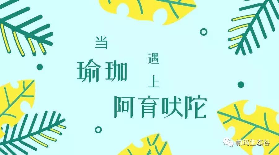 帕玛谷阿育吠陀基地,帕玛生态谷是什么